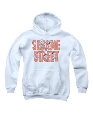 Sesame Street