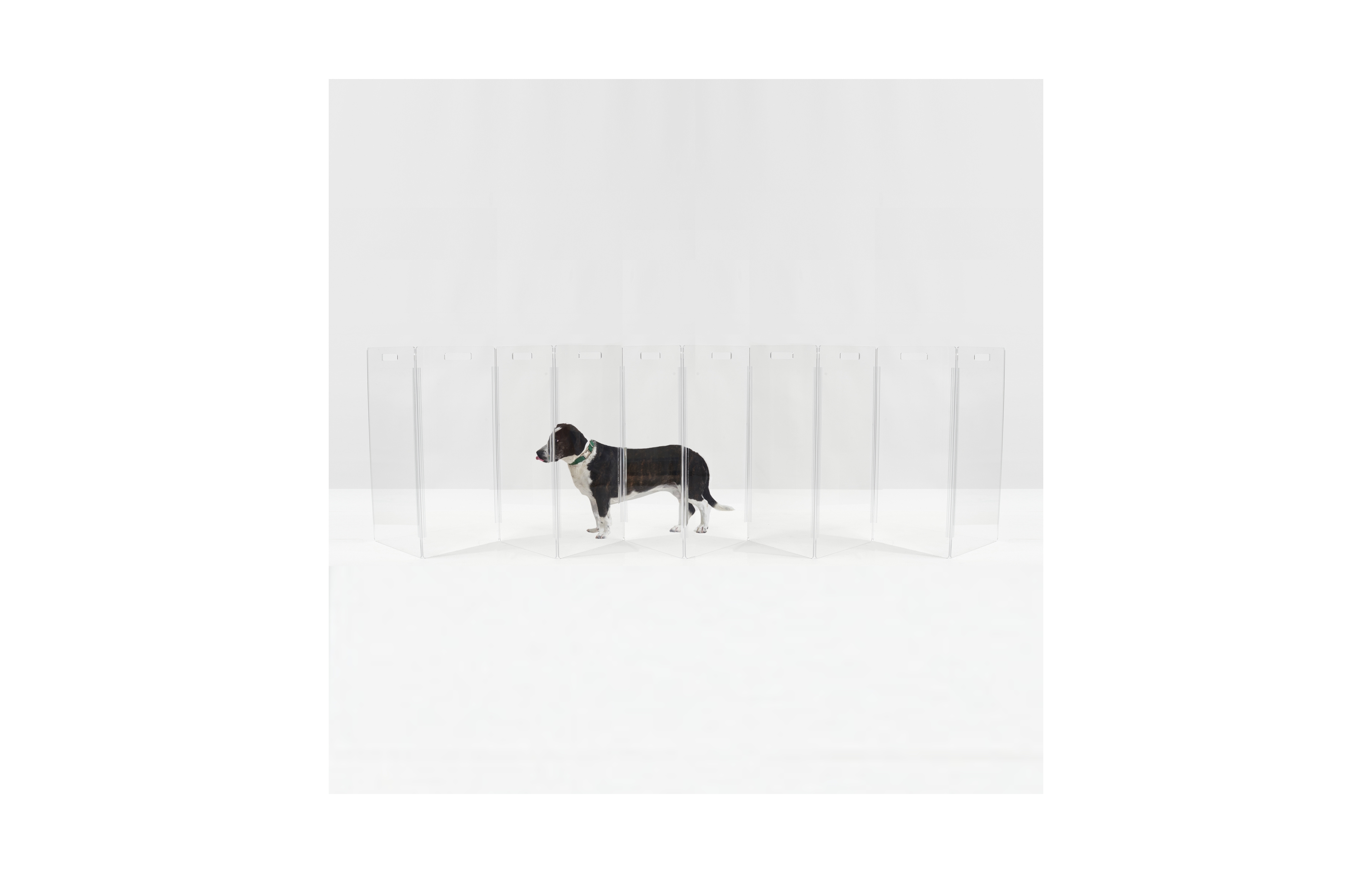 Hiddin Clear Freestanding Pet Gate Zig Zag