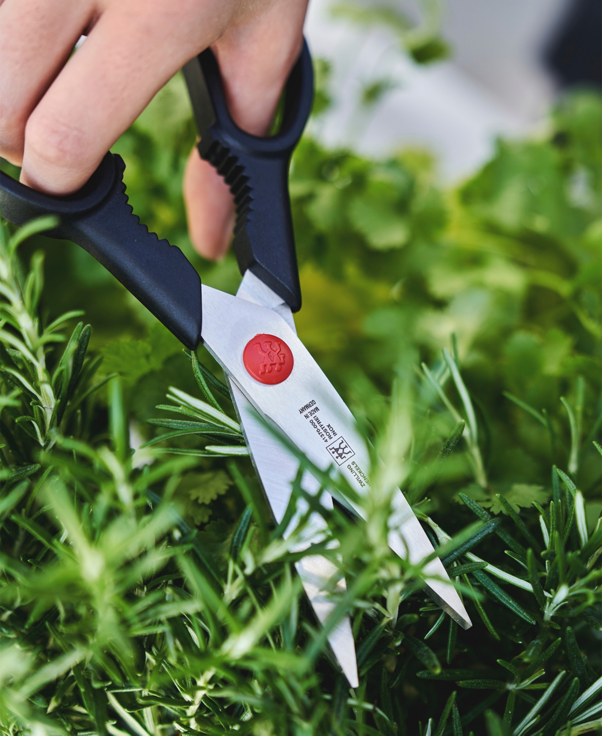 Zwilling Twin L Multi-purpose 8" Kitchen Shears In Black And Silver