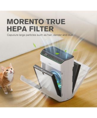 MORENTO Air Purifier Replacement Filter, True HEPA Filter Compatible with Morento5866, Original Version, 2 Pack