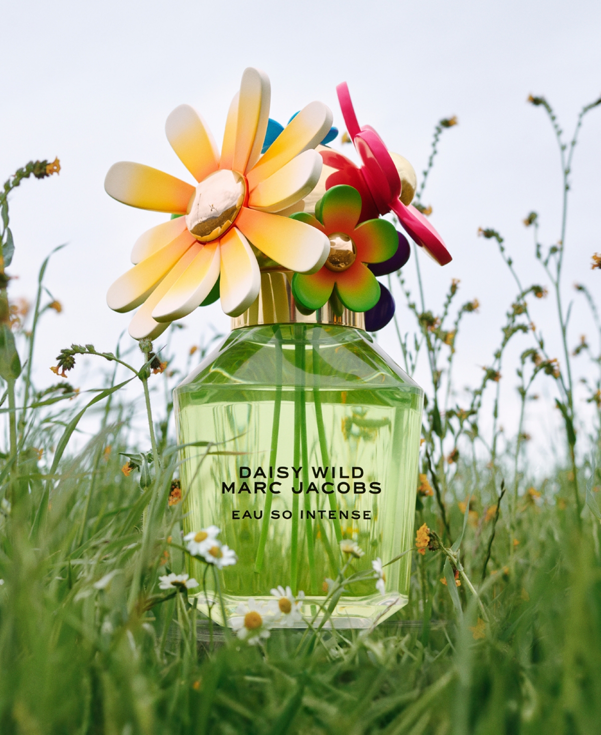 Marc Jacobs Daisy Wild Eau So Intense Eau De Parfum 1.6 Oz. In No Color