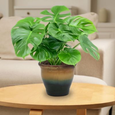 Studio Outdoor/Indoor High-Fired Glazed UV- and Frost-Resistant Ceramic Planters with Drainage Holes