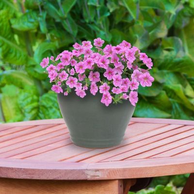 UV- and Frost-Resistant Ceramic Flower Pot Planter with Drainage Holes