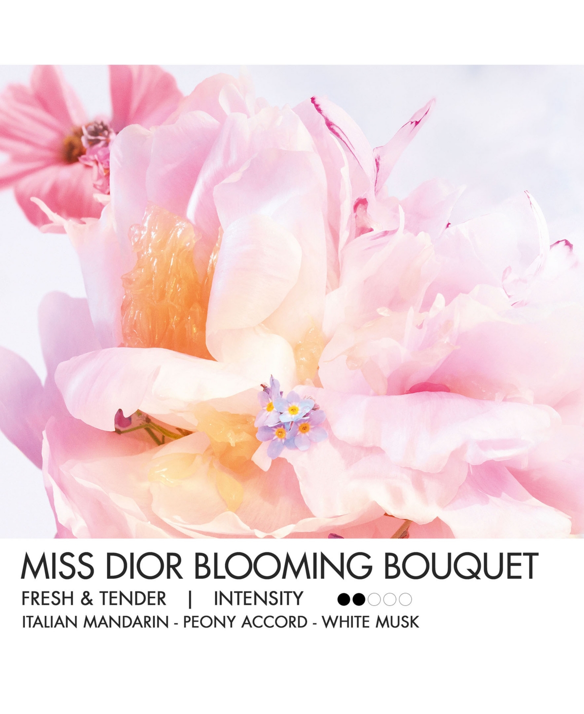 Dior 2-pc. Miss  Blooming Bouquet &  Lip Glow Gift Set In No Color