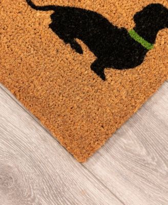 Liora Manne Natura Best In Show Rug Collection In Tan