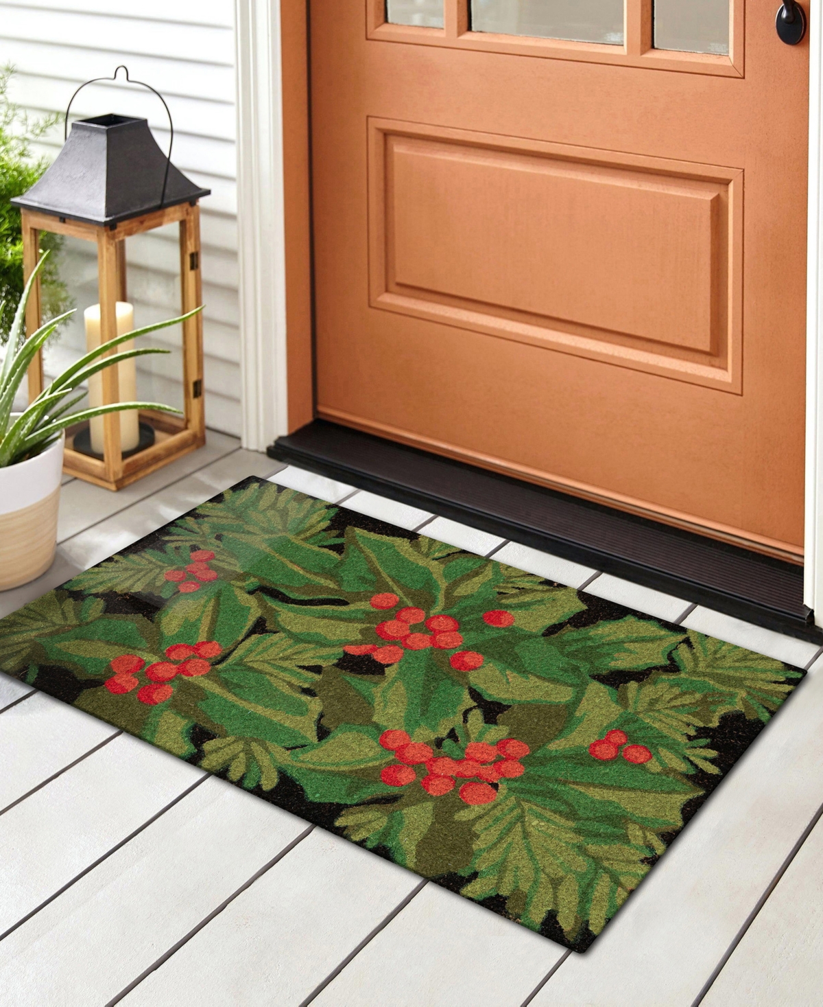 Liora Manne Natura Hollyberries 1'6"x2'6" Area Rug In Black