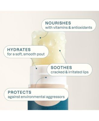 Tropical Lip Balm, 6 pack