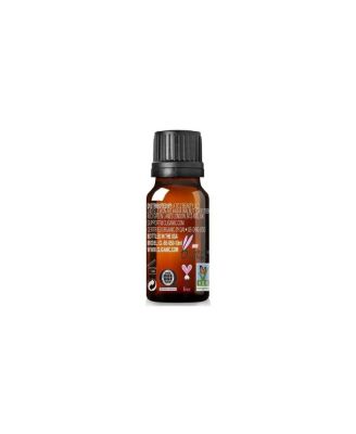 Organic Peppermint Essential Oil - 10 ml