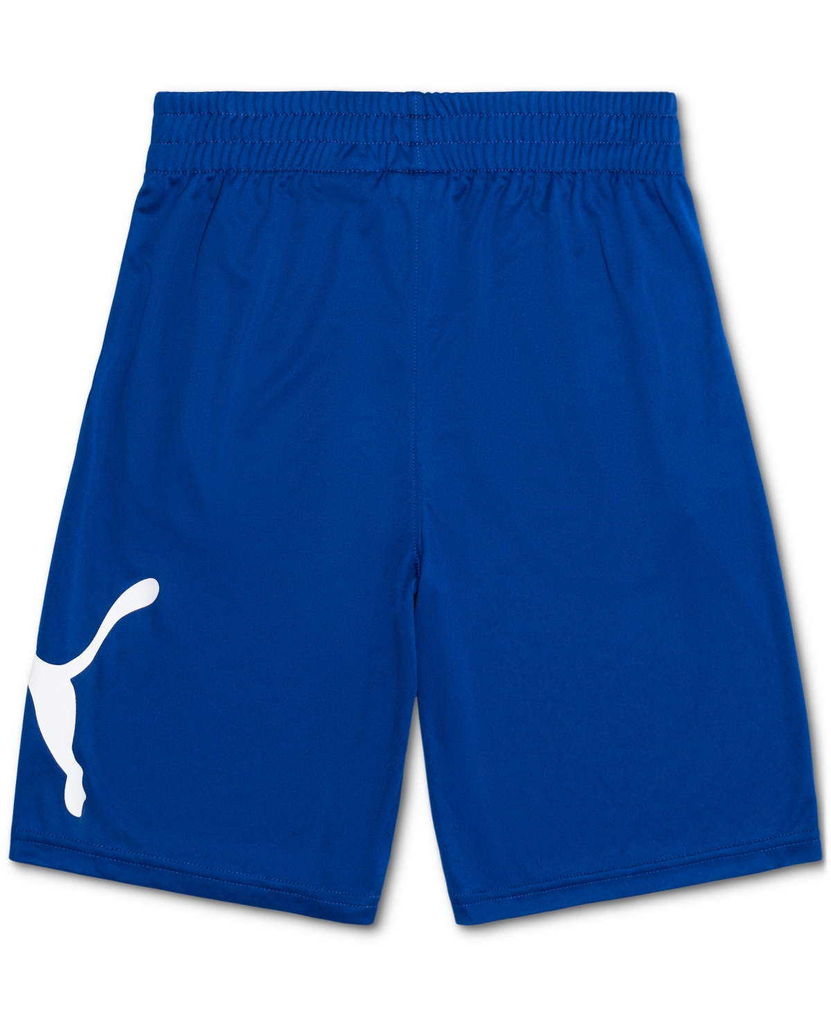 Puma Big Boys Essential Speed Pack Pull-on Performance Shorts In Vivid Blue