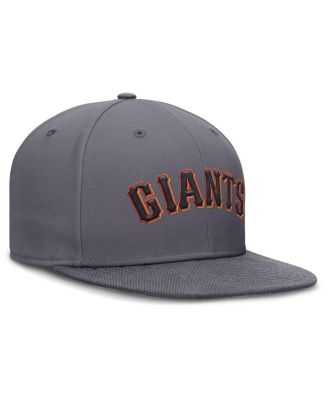 Men's Gray San Francisco Giants Performance True Fitted Hat