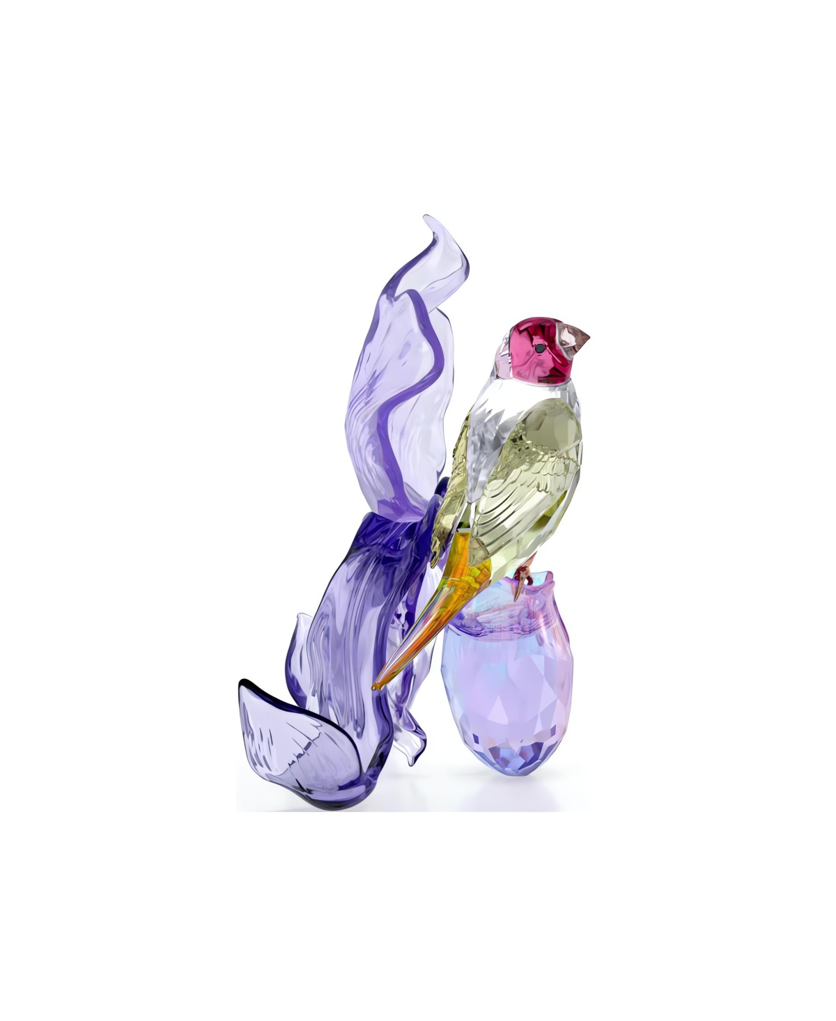 Swarovski Idyllia Gouldian Finch And Orchid Figurine In Purple