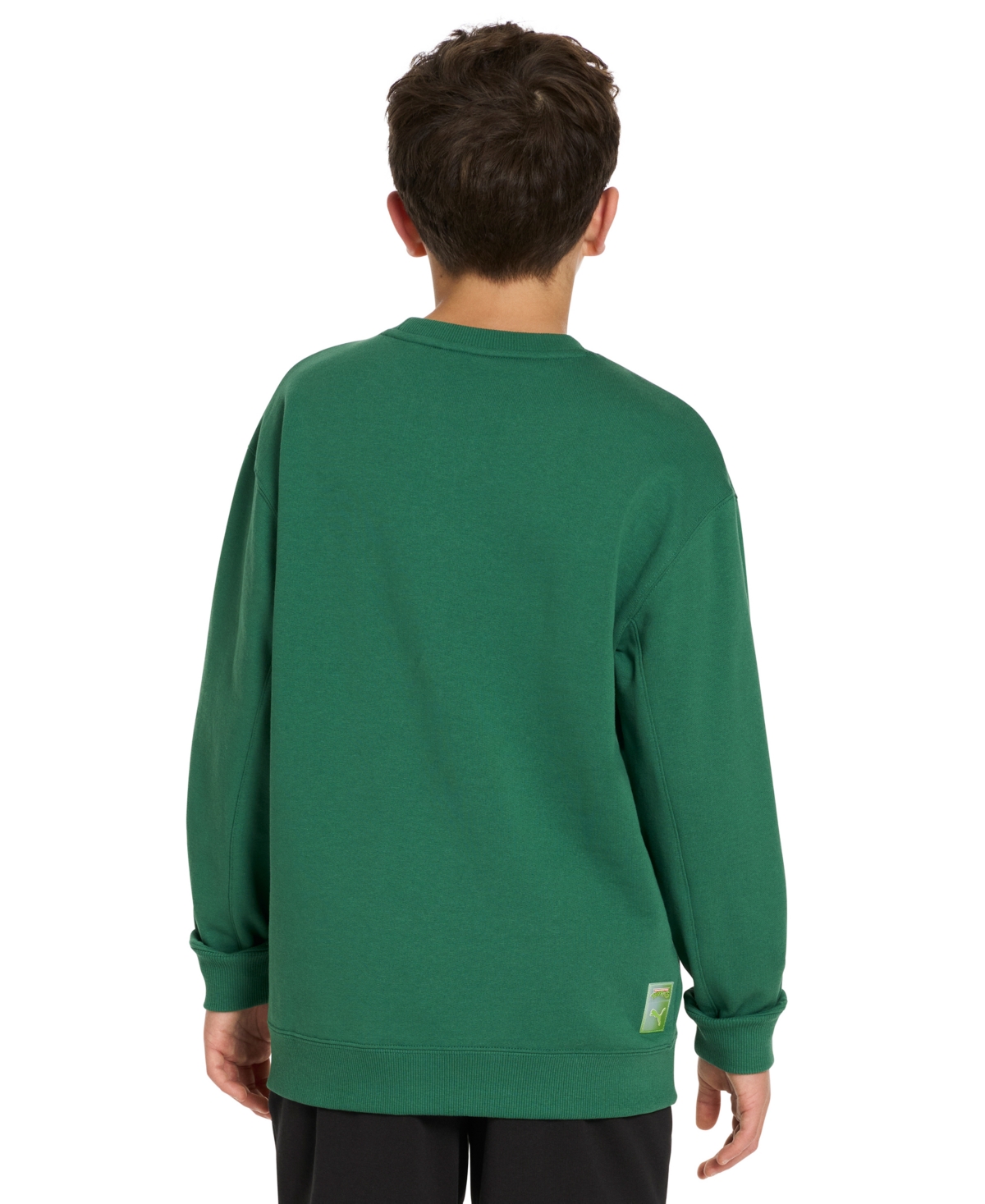 Puma X Tmnt Big Boys Relaxed Printed Sweatshirt In Vine