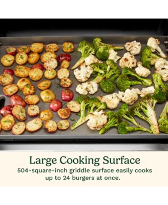 3-Burner Outdoor Propane Griddler with Broiler