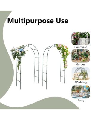 Garden Arch 2 pcs Climbing Plants