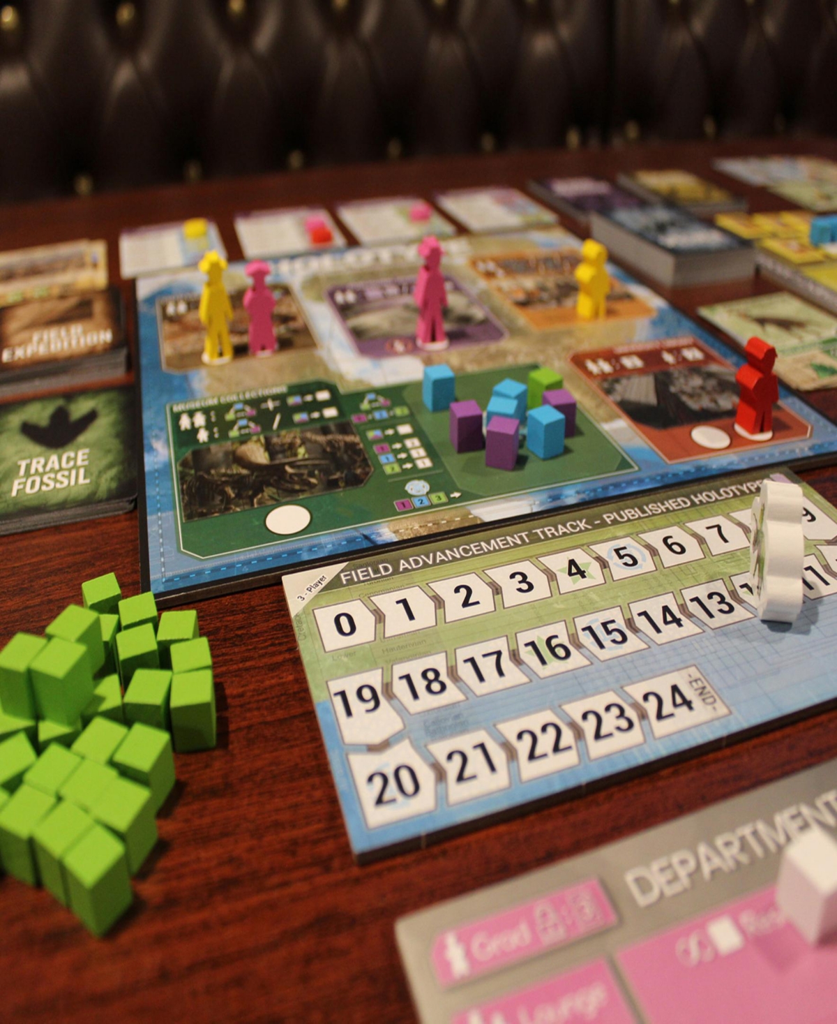 Brexwerx Games Holotype Mesozoic North America Strategy Board Game In Multi