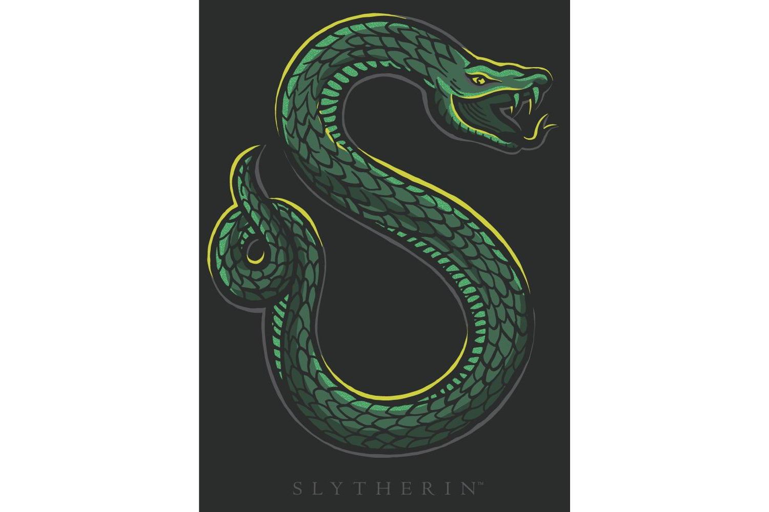 Big & Tall Slytherin Two Puff Ink Black Tee-6XL