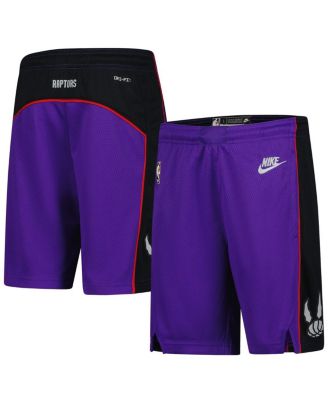 Nike - Youth Purple Toronto Raptors 2024/25 City Edition Swingman Performance Shorts