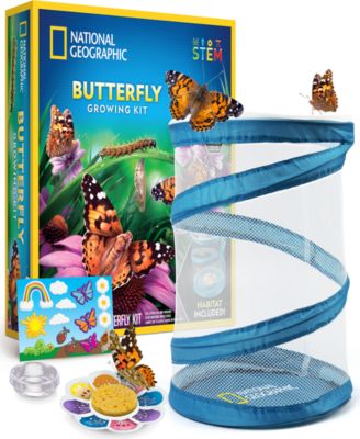Butterfly Growing Kit