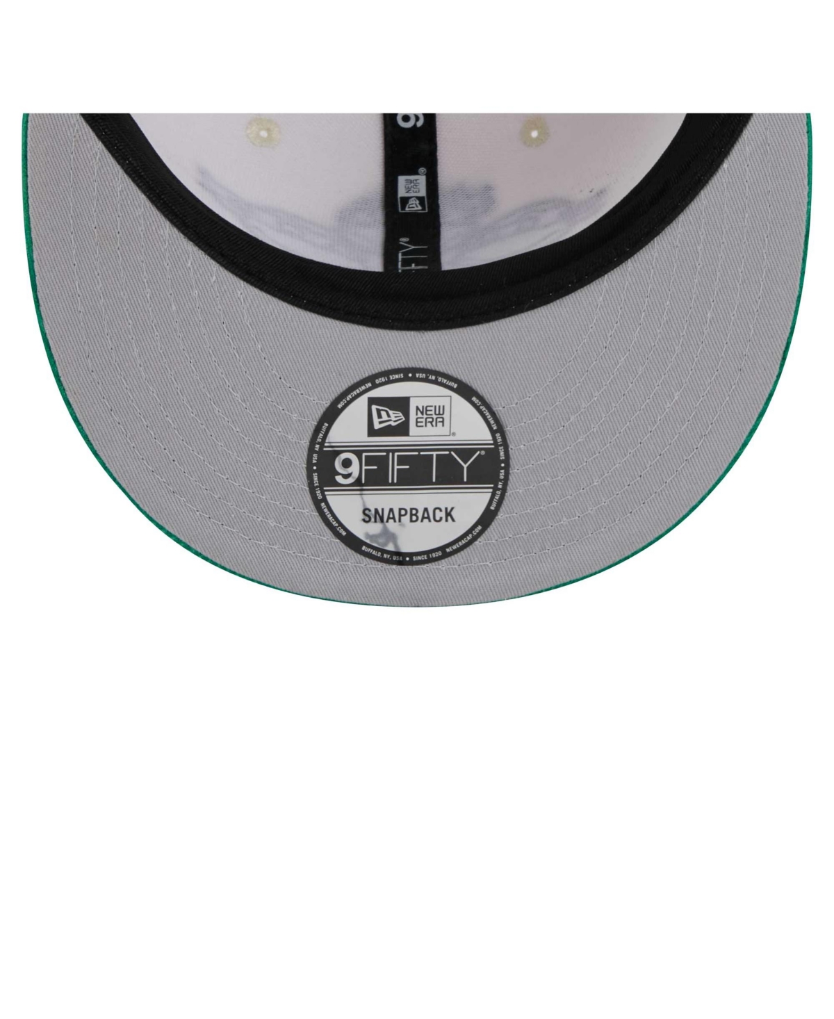 New Era Men's Cream/green Teenage Mutant Ninja Turtles 9fifty Snapback Hat In Cream,green