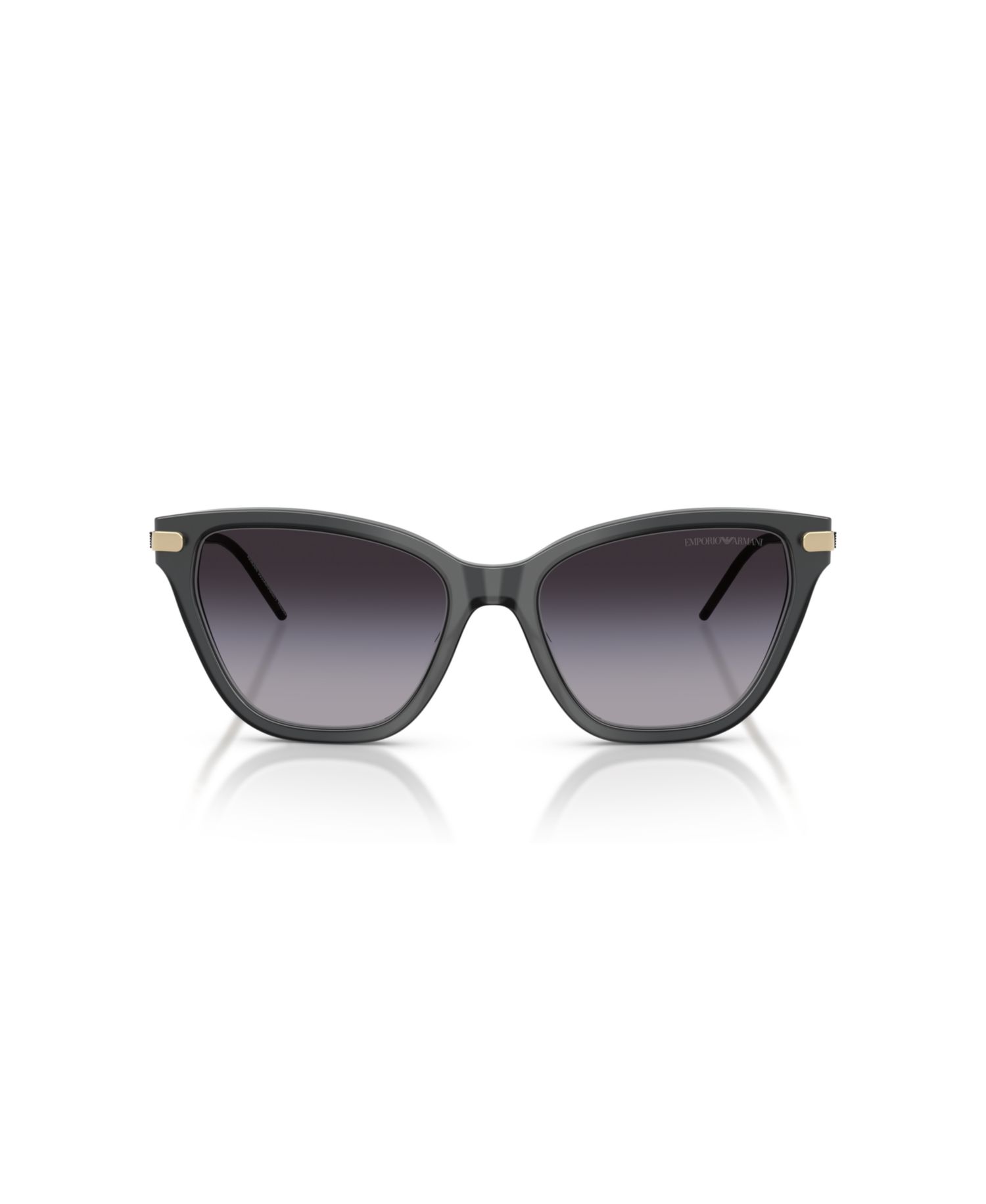 Women's Large Sunglasses, EA4251