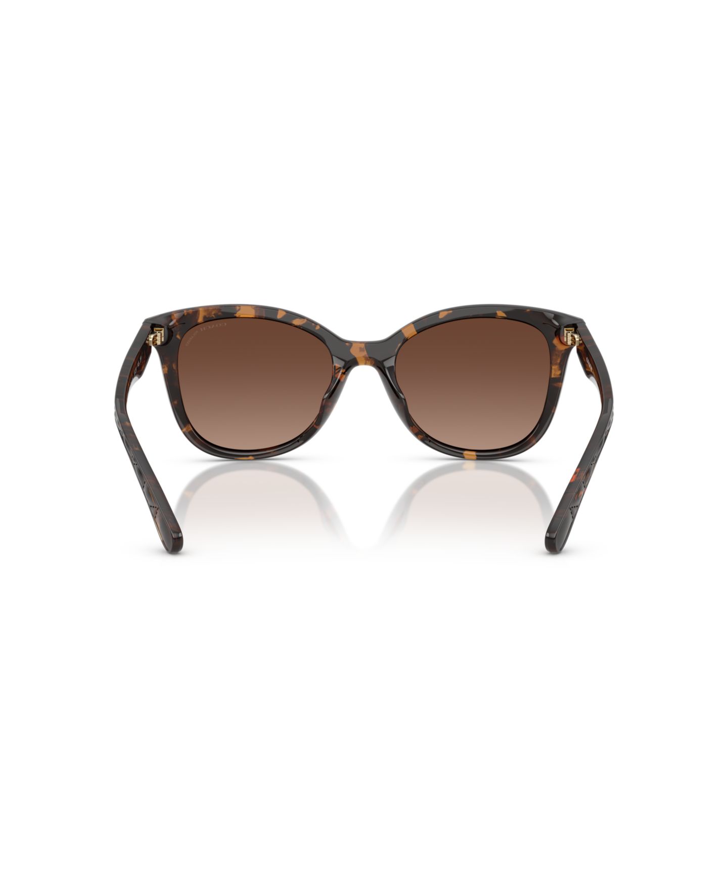 Женские солнцезащитные очки Coach Polarized Sunglasses, CAD25 HC8419U, цвет: Тёмный черепаховый — фото 3