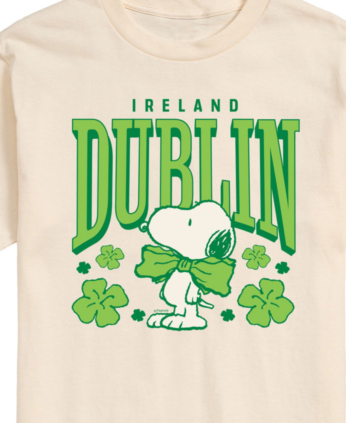 Airwaves Men's Peanuts Dublin Ireland Short Sleeve T-shirt In Beige