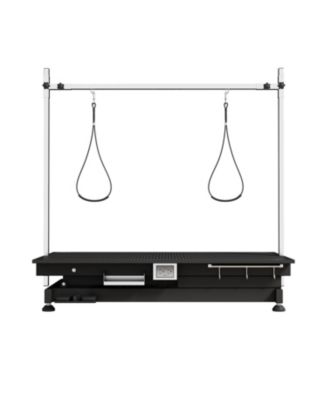 Super Deluxe Electric Pet Grooming Table, COLOR