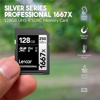 Z f Mirrorless Camera with NIKKOR Z 40mm f/2 SE Lens, Bundle with 64GB SDXC Memory Card, EN-EL15c Lithium-Ion Battery and 40.5mm Filter Kit