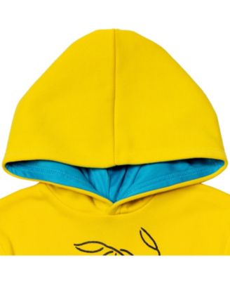 Baby Boys Fleece Pullover Hoodie