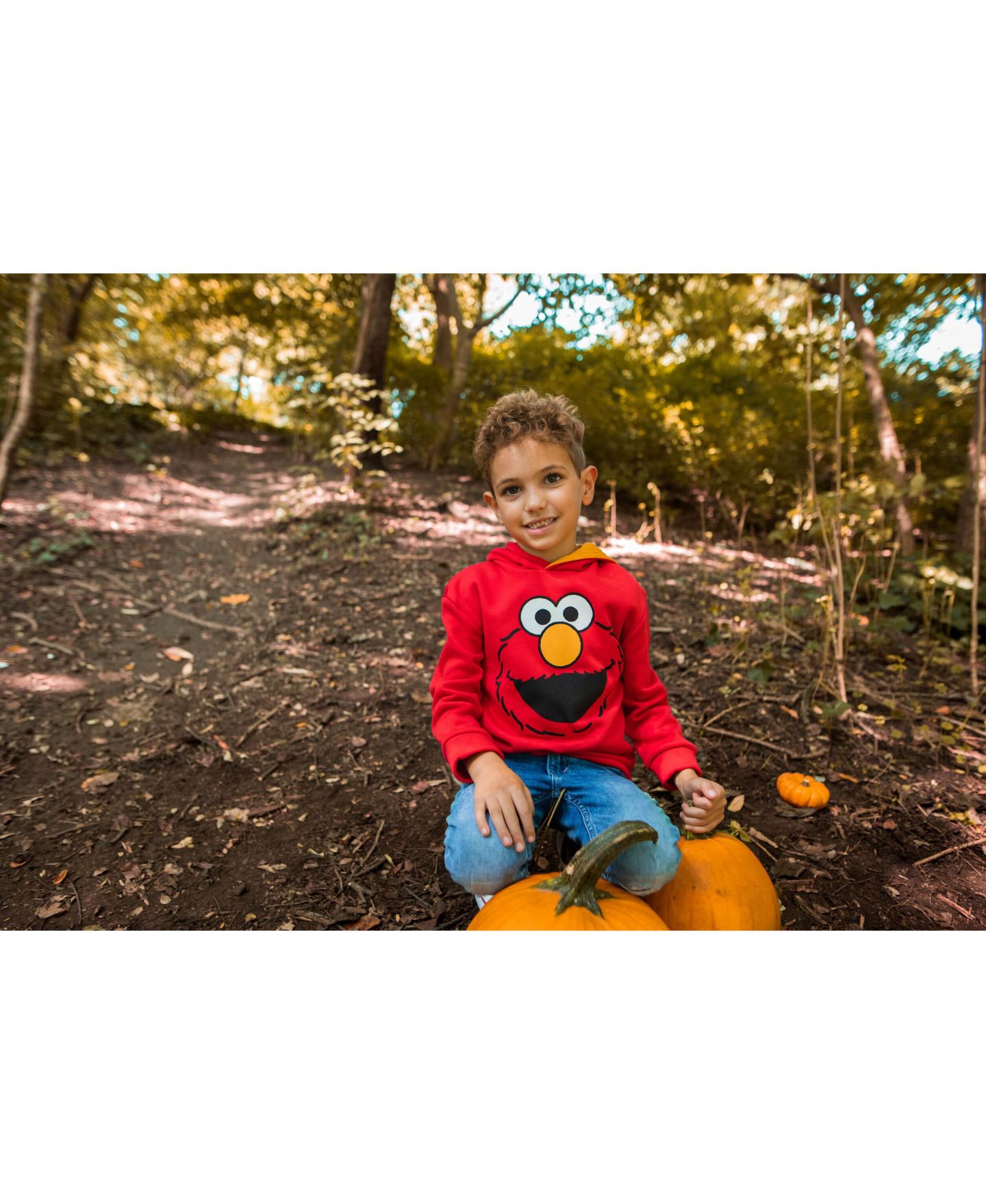 Худи Sesame Street Fleece Pullover для мальчиков-малышей, цвет: Elmo — фото 4