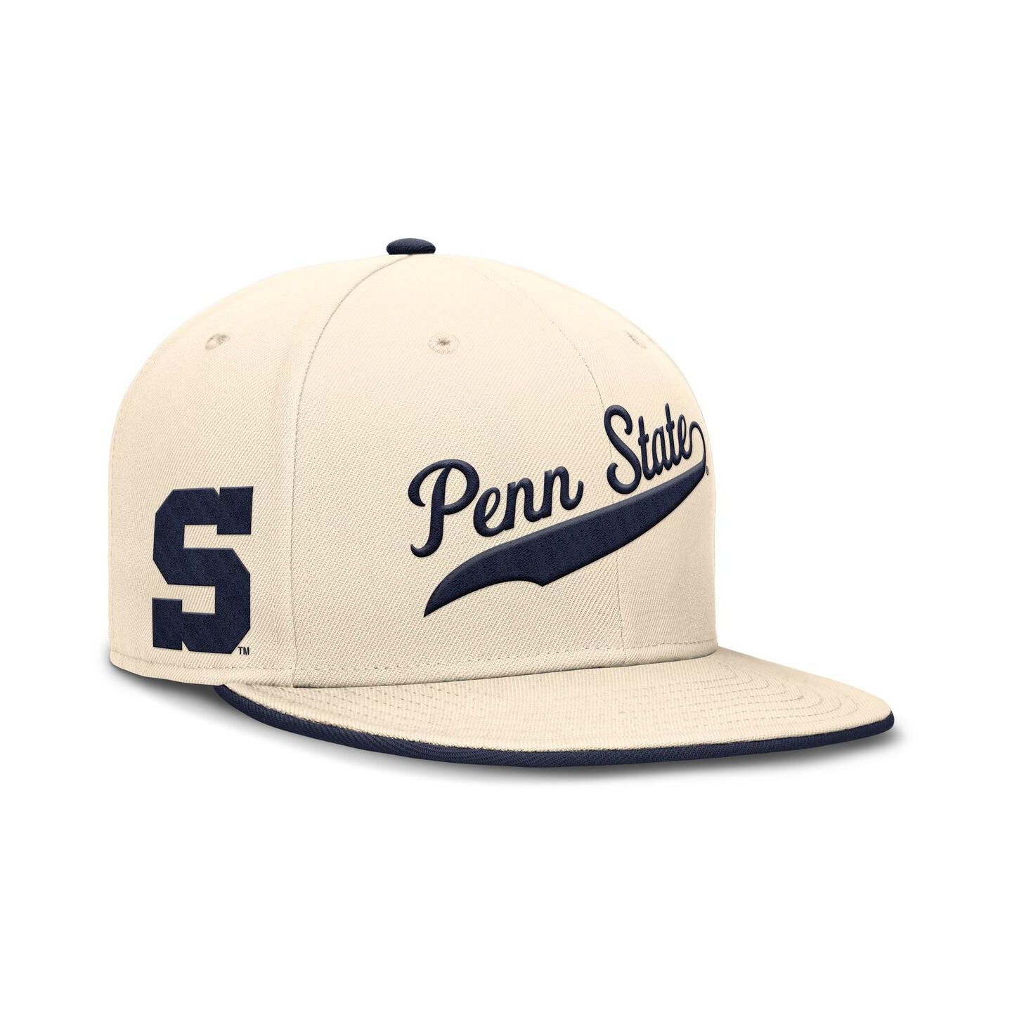 Мужская кепка Nike Natural Penn State Nittany Lions Primetime True Performance Fitted Hat — фото 1