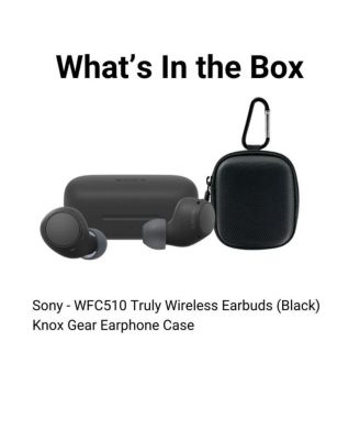 WFC510 Truly Wireless Earbuds (Black) with  Earphone Case bundle