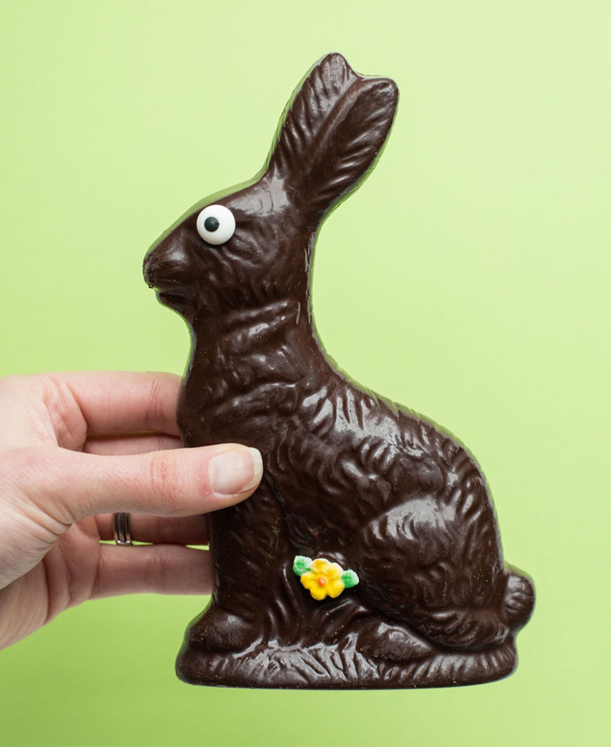 Sugar Plum Chocolates Dark Chocolate Solid Easter Bunny, 8oz In No Color