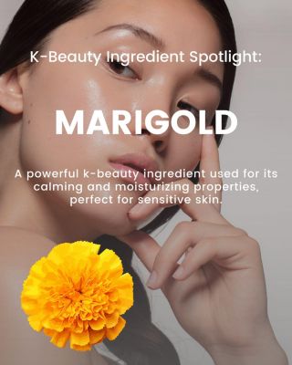 Duo Face Illuminating Multi Stick