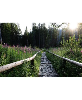 RF 24mm f/1.4 L VCM Lens