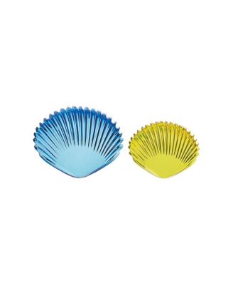 Transparent Tactile Shells - 108 Pieces