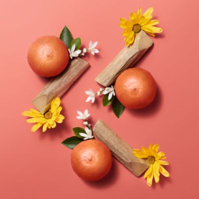 Herm&egrave;sistible Infused Lip Care Oil, 0.28 oz.