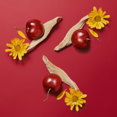 Herm&egrave;sistible Infused Lip Care Oil, 0.28 oz.