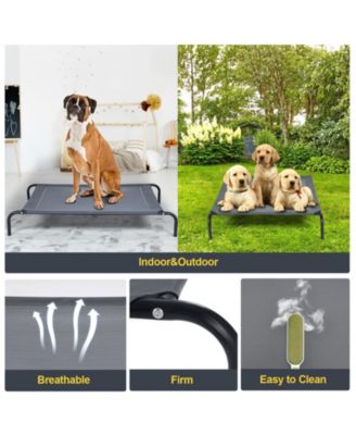 Elevated Pet Bed for Medium Large Dogs