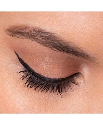 Fierce  & Fine Graphic Pen