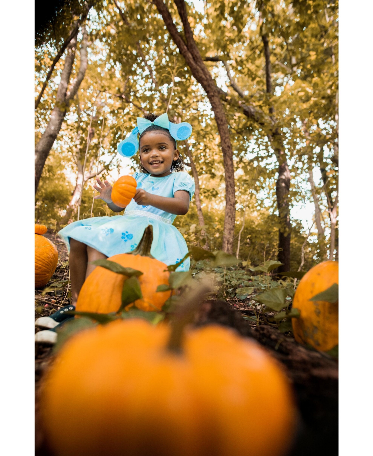 Blue's Clues & You! Costume Dress and Headband
