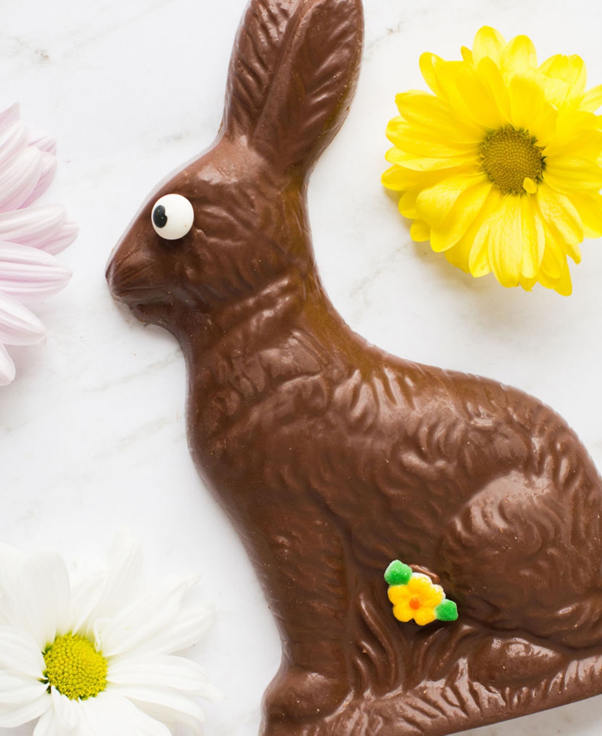 Sugar Plum Chocolates Milk Chocolate Solid Easter Bunny, 8oz In No Color