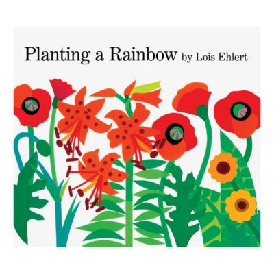 Children's Favorite Big Books - Set of 6