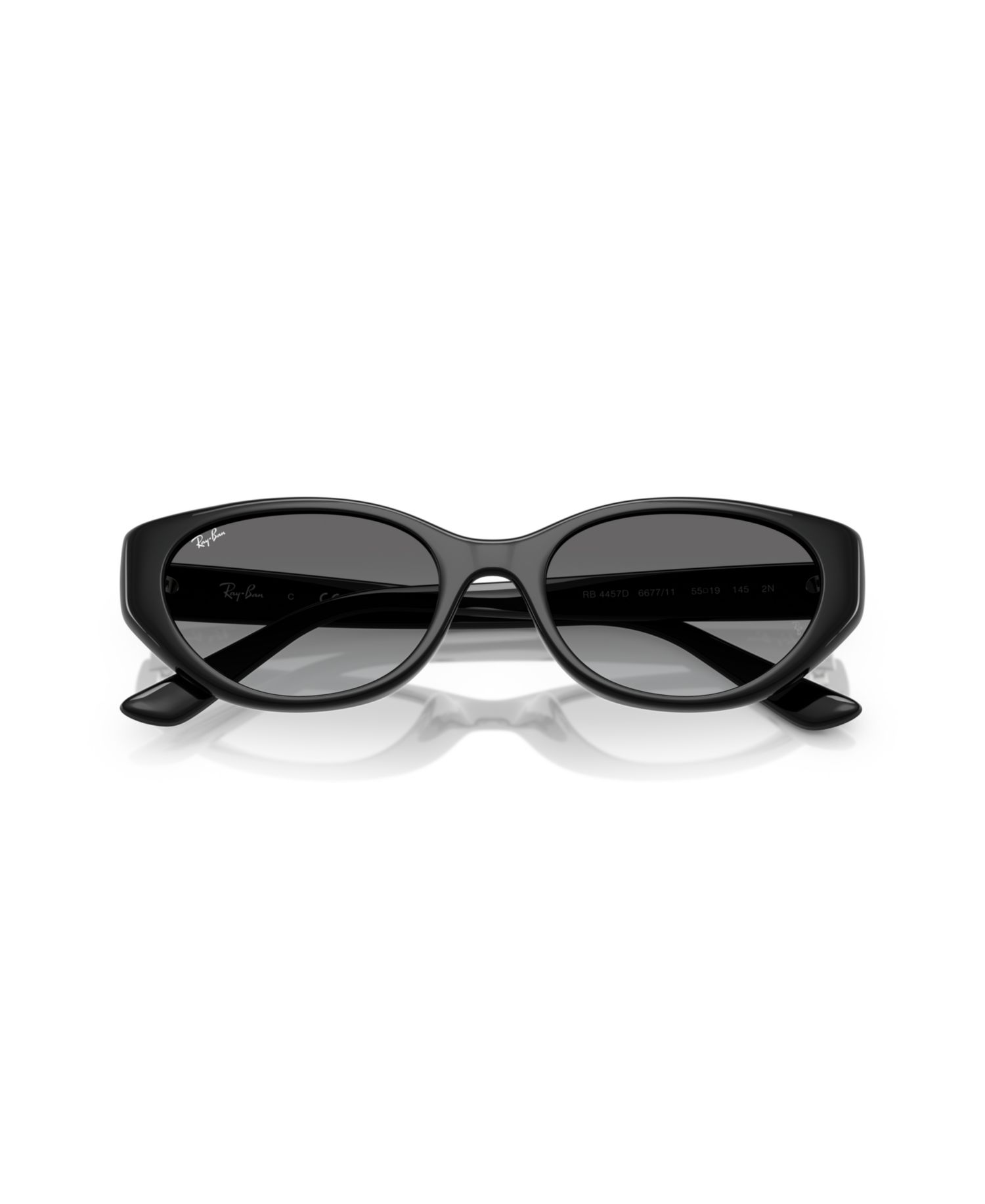 Unisex Large Sunglasses, RB4457D