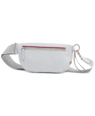 Charles Small Crossbody Belt Bag