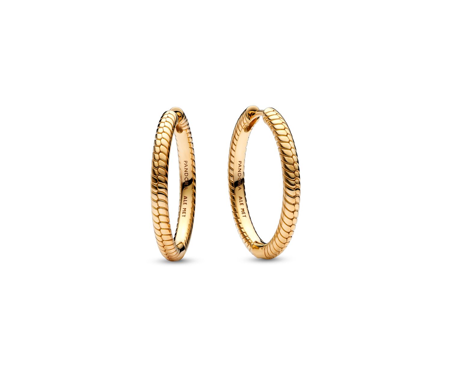 Gold-Plated Moments Charm Hoop Earrings