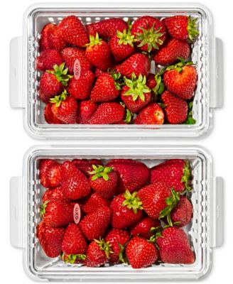 Good Grips Berry Keeper Produce Saver, 2-Piece Set