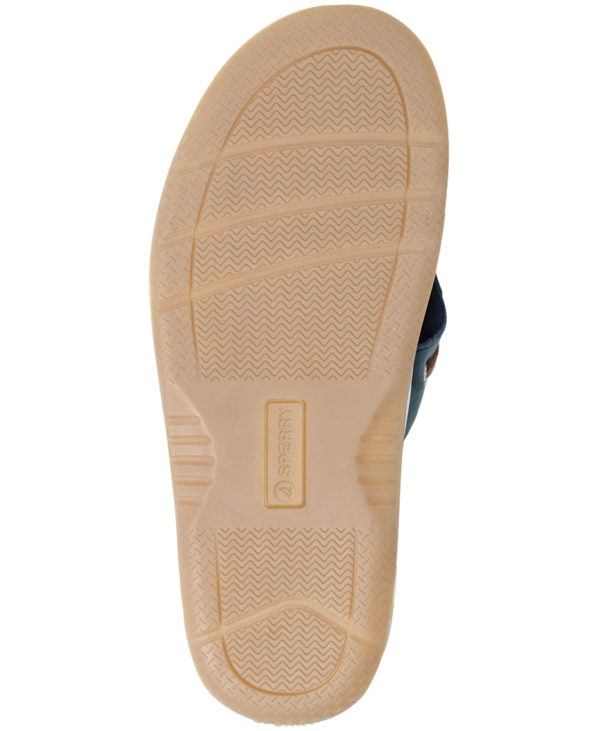 Sperry Baitfish Flip Flop In Blue