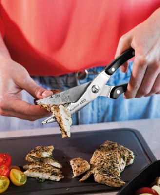 Leo Graphite 9.75" Poultry Shears