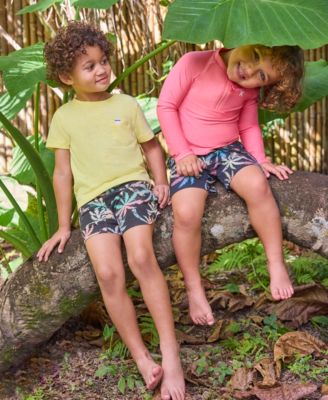 Toddler Boys Rash Guard Top & Swim Shorts, 2 Piece Set